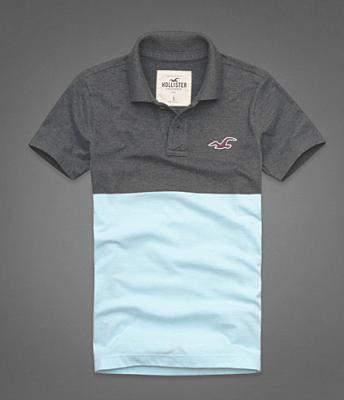 Hollister Men Shirts-446